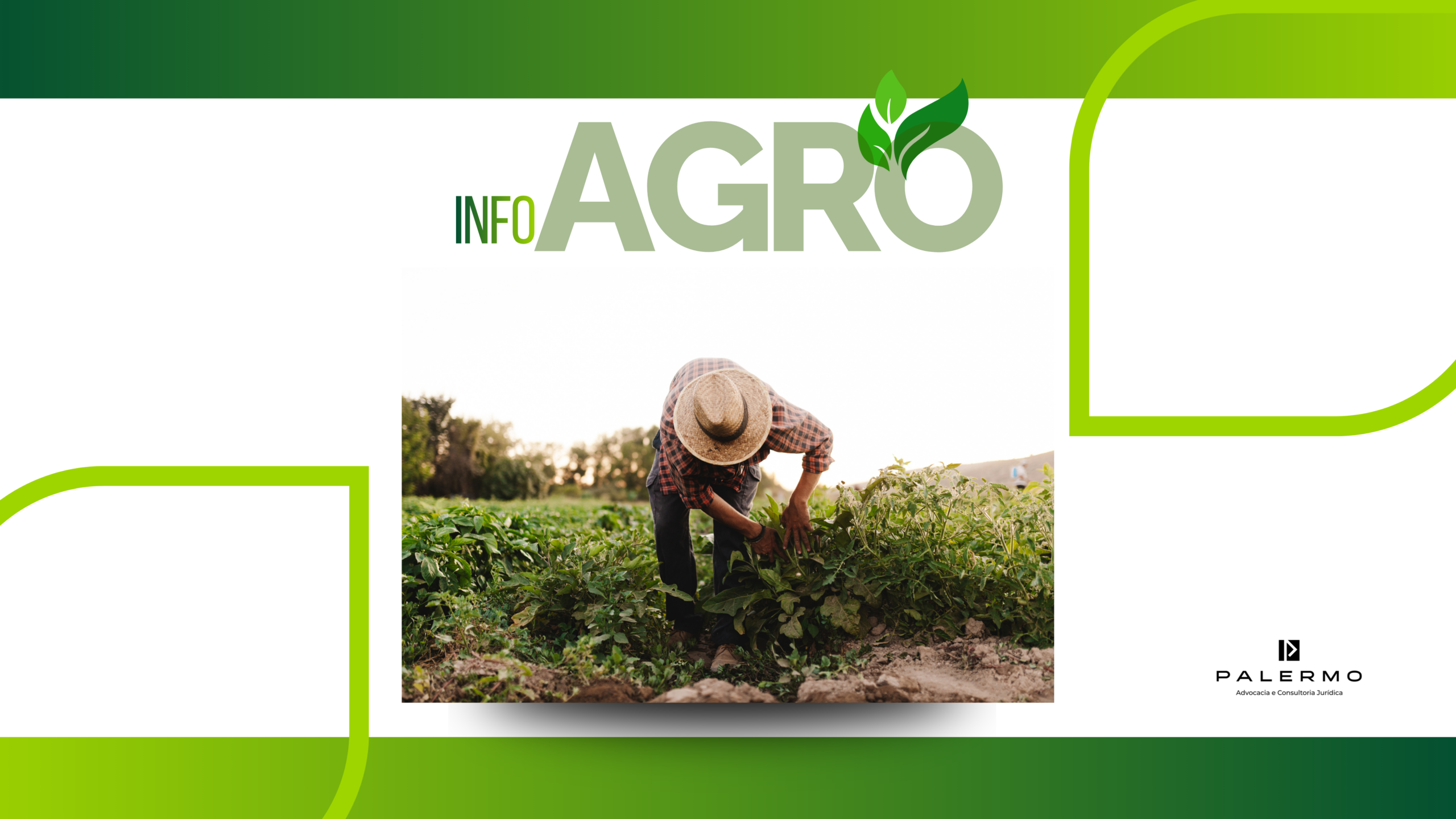 A pedido da Palermo Advocacia Produtor rural obtém na Justiça suspensão de cobrança de custeio de R$ 2,07 milhões: